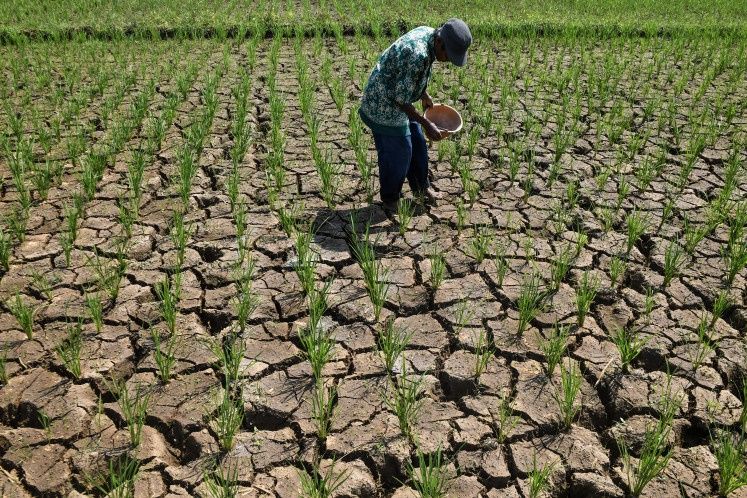 Indonesia's Drought Crisis Deepens as El Niño Spreads Water Shortages Across Archipelago