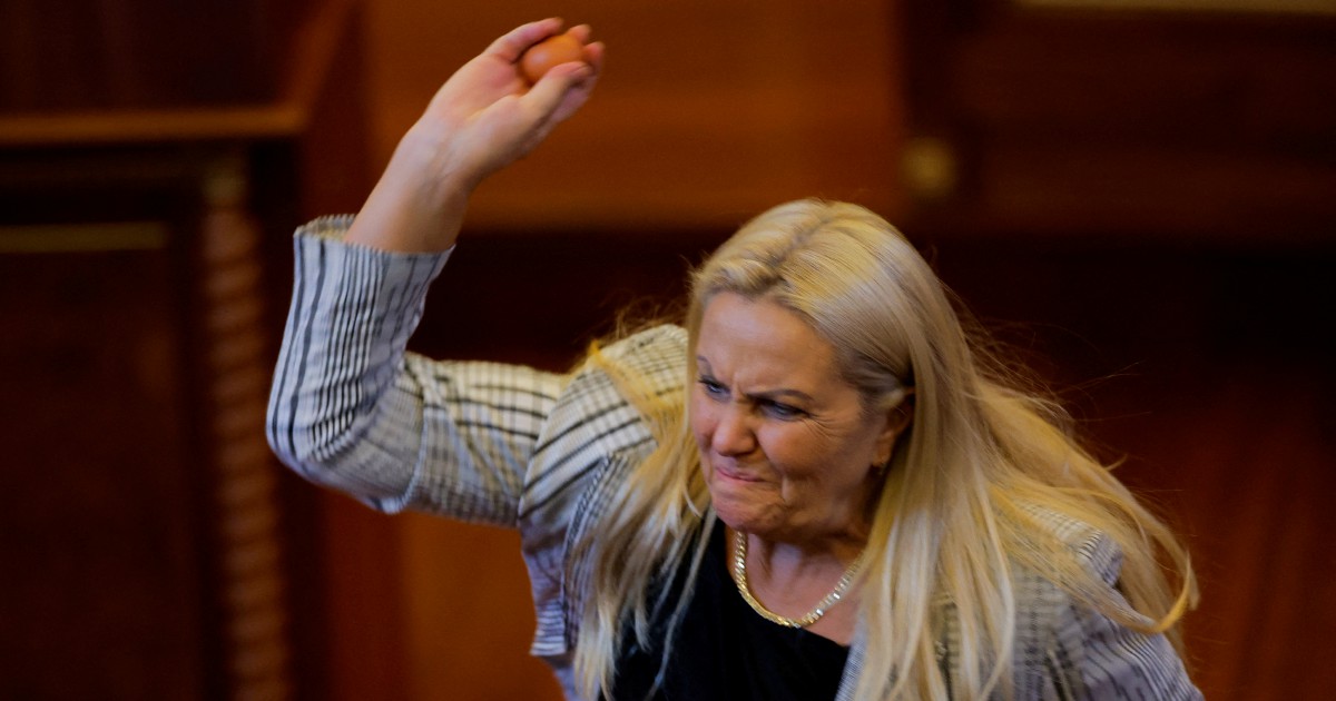 Kosovo Parliament Suspended After Egg Attack on PM Amid Political Turmoil