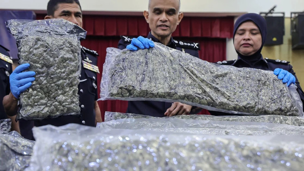 Police Bust Major Cannabis Ring at KLIA, Netting 650kg and 38 Arrests