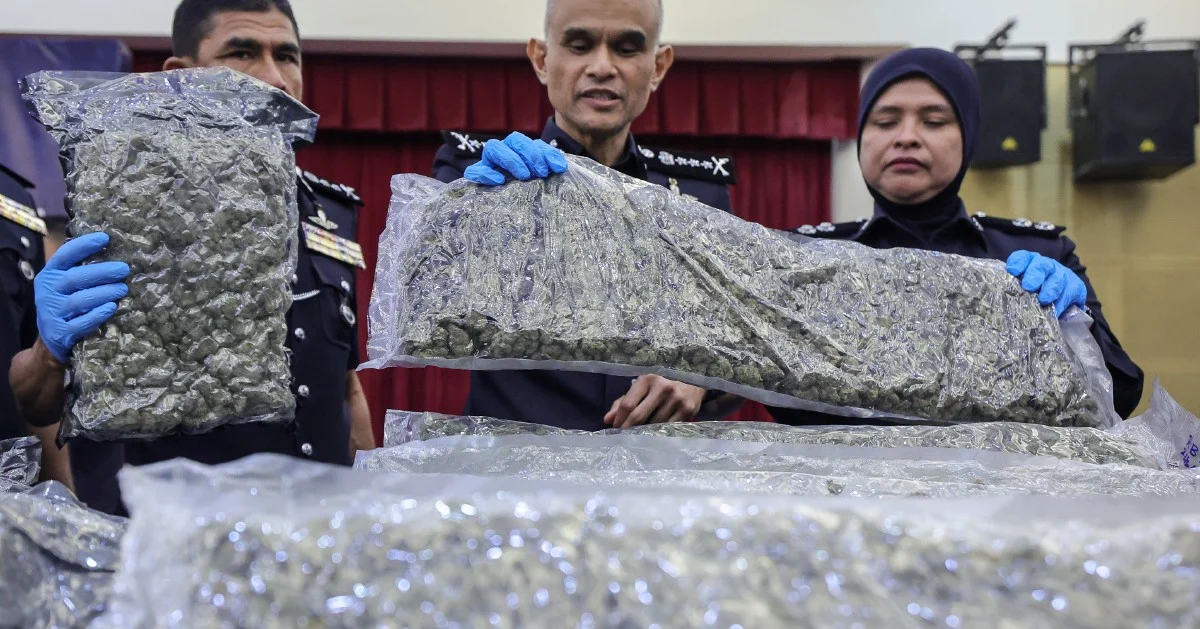 Police Bust Major Cannabis Ring at KLIA, Netting 650kg and 38 Arrests