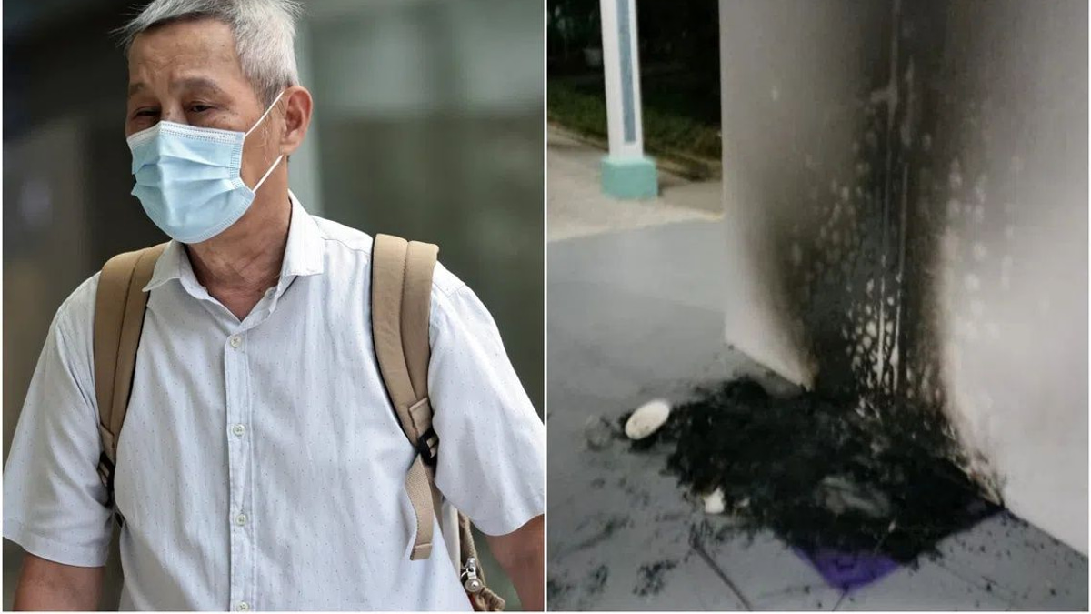 Singapore Man Jailed Three Months for Torching Community Cat Shelters