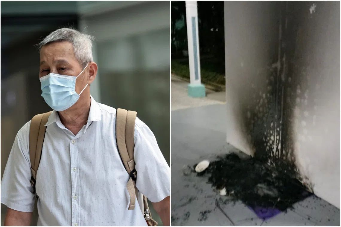 Singapore Man Jailed Three Months for Torching Community Cat Shelters