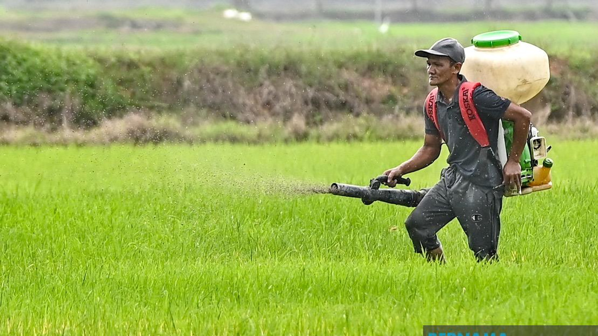 Kelantan Invests RM3.64 Million in Agricultural Development as State Pushes Food Security Agenda