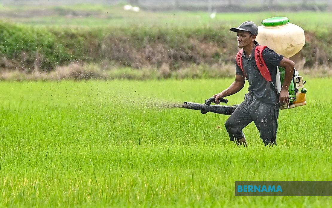 Kelantan Invests RM3.64 Million in Agricultural Development as State Pushes Food Security Agenda