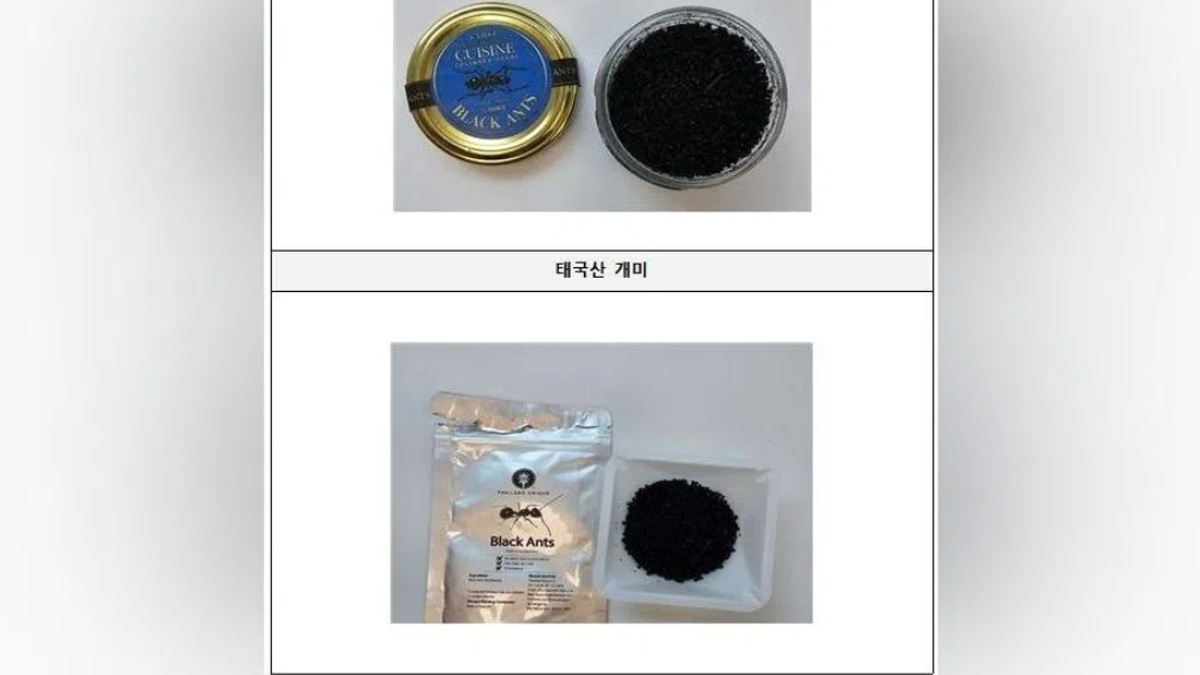 Michelin-starred Seoul chef faces jail time over illegal ant garnish on desserts