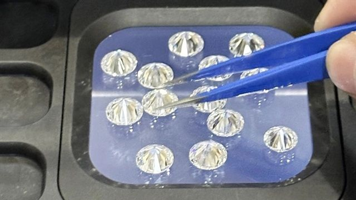 Indian smuggler to face trial in Ho Chi Minh City over diamond trafficking operation