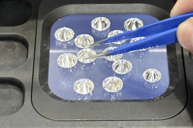Indian smuggler to face trial in Ho Chi Minh City over diamond trafficking operation