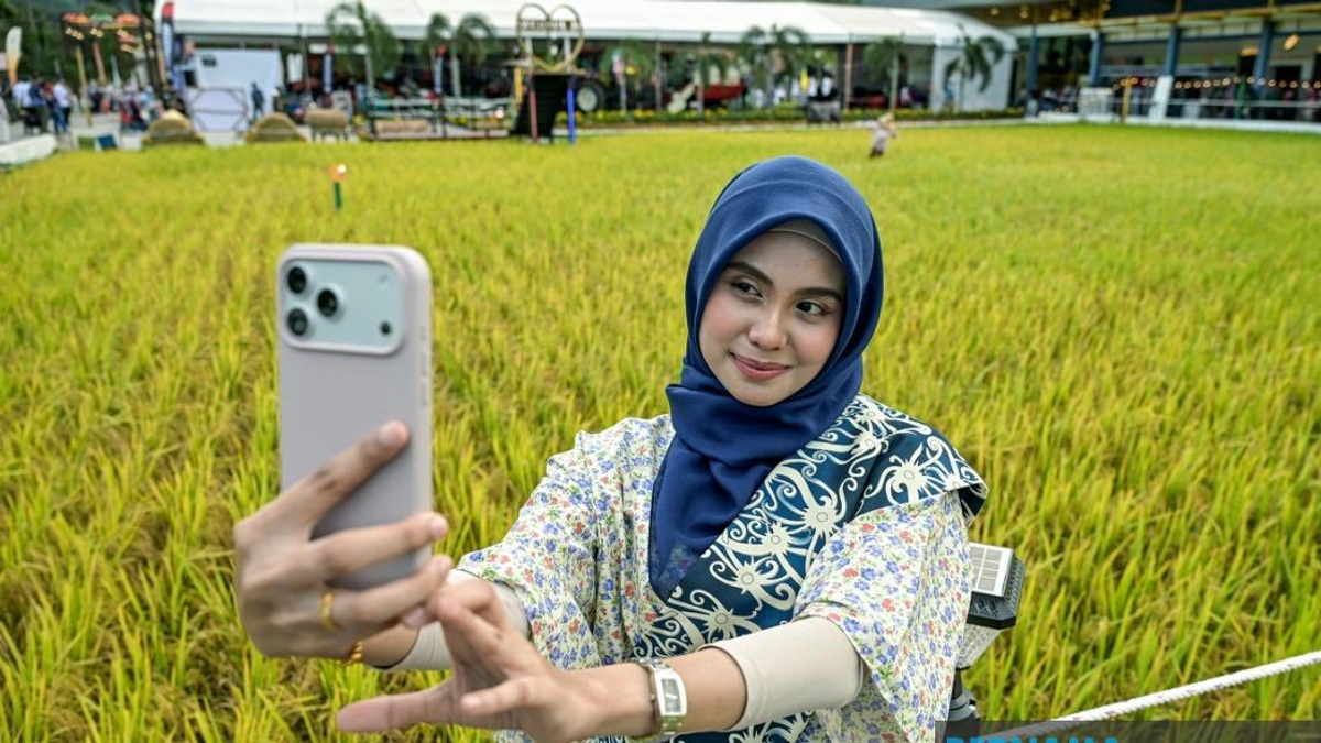 Record-Breaking Paddy Art Debuts at MAHA 2026, Transforming Rice Fields into Tourist Attractions