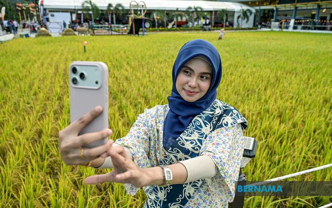 Record-Breaking Paddy Art Debuts at MAHA 2026, Transforming Rice Fields into Tourist Attractions