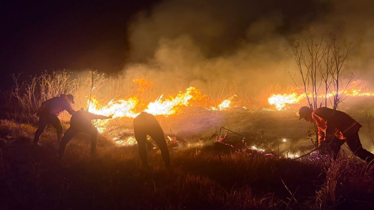 Mount Bromo Wildfire Expands to 520 Hectares as Winds Intensify Crisis in East Java