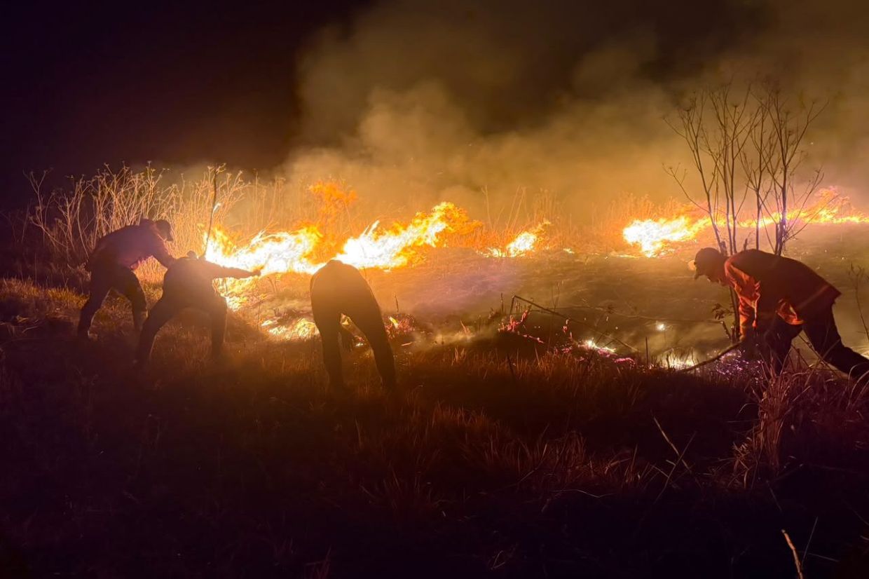 Mount Bromo Wildfire Expands to 520 Hectares as Winds Intensify Crisis in East Java