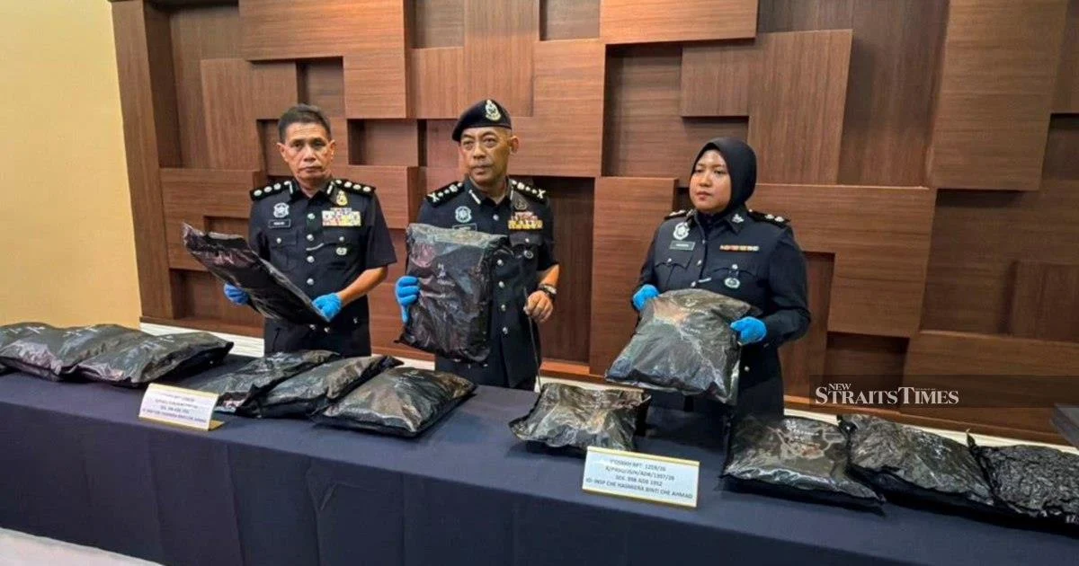 Student Arrested With RM1.17 Million Cannabis Haul at Bukit Kayu Hitam