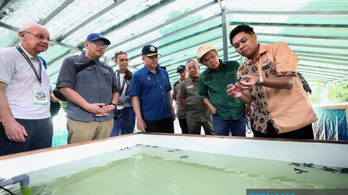 Malaysia Intensifies Crackdown on Foreign Tourists Abusing Social Visit Passes in Semporna