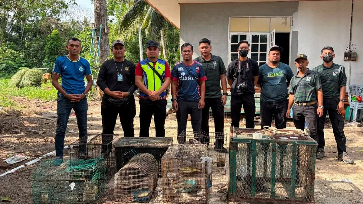 Teenager held with RM48,500 haul of rare protected animals in Kelantan enforcement sweep