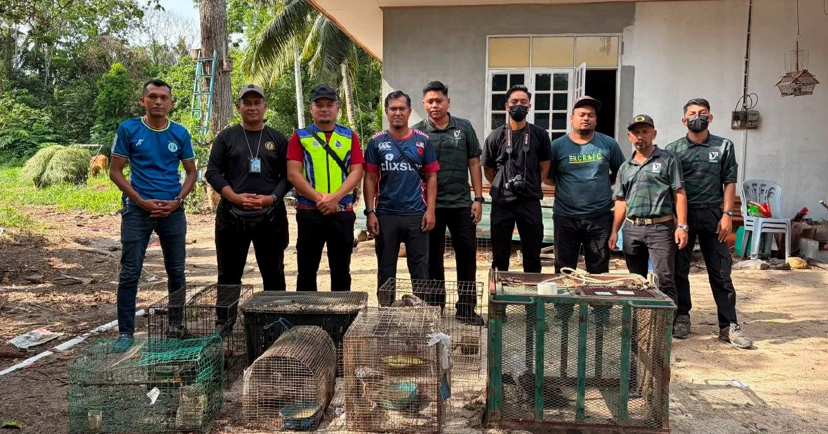 Teenager held with RM48,500 haul of rare protected animals in Kelantan enforcement sweep