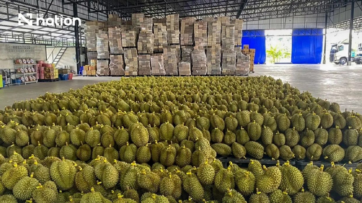 Thailand's Durian Exports to China Surge Past THB100 Billion Milestone in First Half of 2026