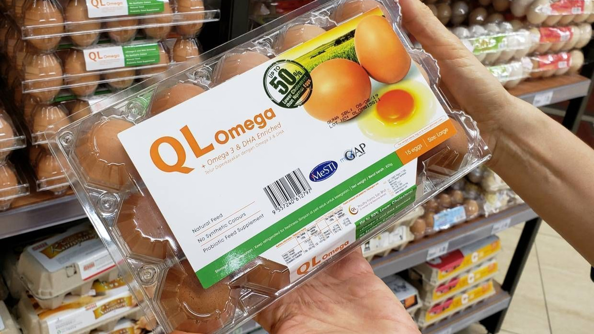 QL Resources maintains solid fundamentals despite valuation downgrade
