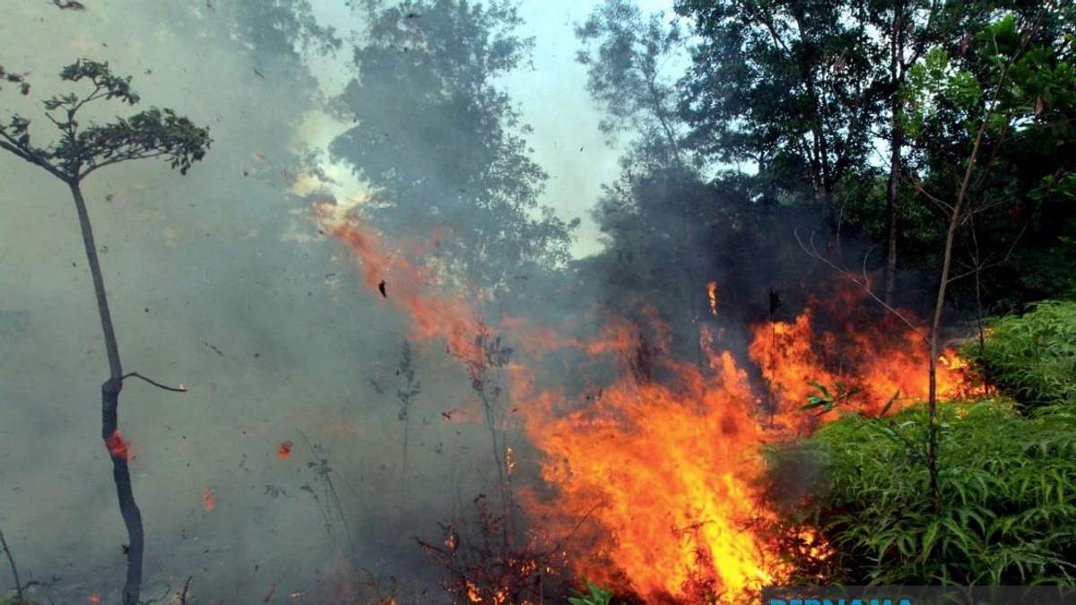 Sabah Authorities Warn Against Open Burning as Indonesian Haze Drifts Across Border