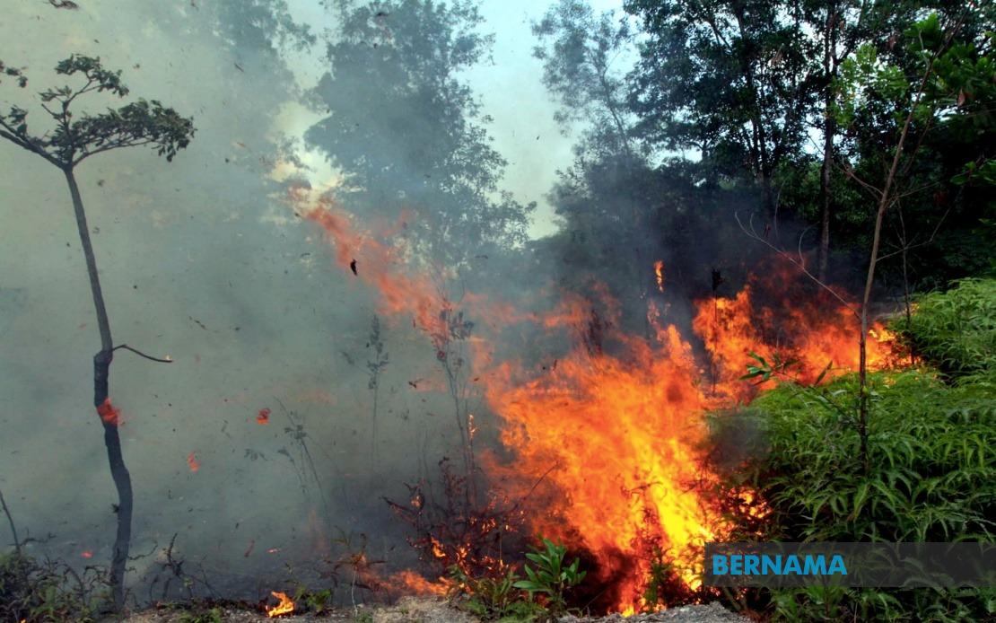 Sabah Authorities Warn Against Open Burning as Indonesian Haze Drifts Across Border