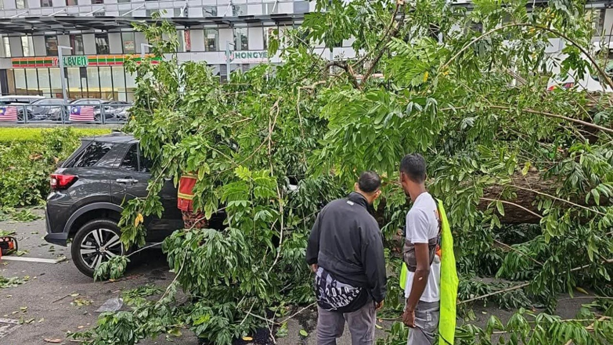 Three Family Members Injured After Tree Crashes Onto Vehicle in Penang