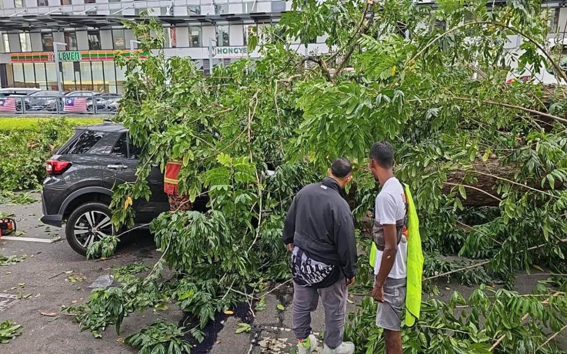 Three Family Members Injured After Tree Crashes Onto Vehicle in Penang