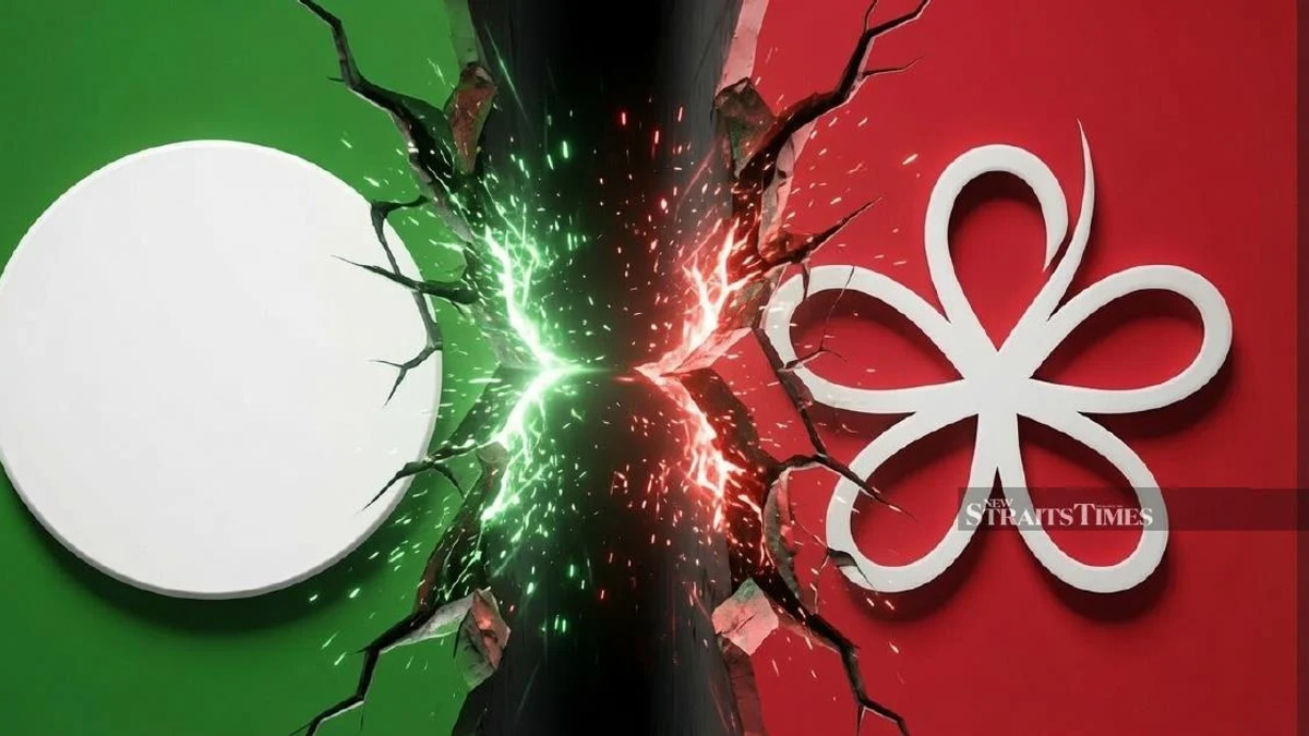 PAS MP cautions Bersatu over state election strategy, warns of splitting Malay vote