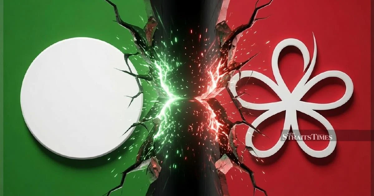 PAS MP cautions Bersatu over state election strategy, warns of splitting Malay vote