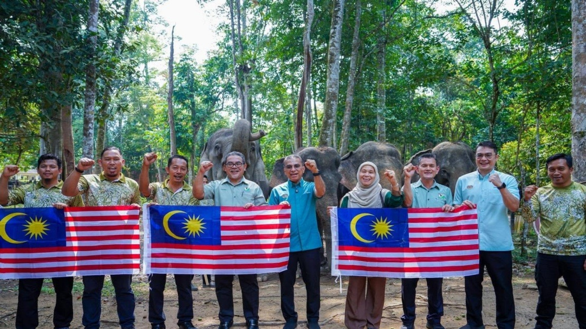 Malaysia's Wildlife Ministry Seeks Fresh Approaches to Combat Rising Human-Elephant Conflicts
