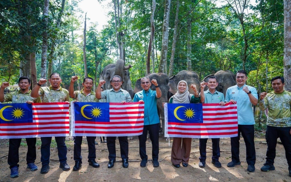 Malaysia's Wildlife Ministry Seeks Fresh Approaches to Combat Rising Human-Elephant Conflicts