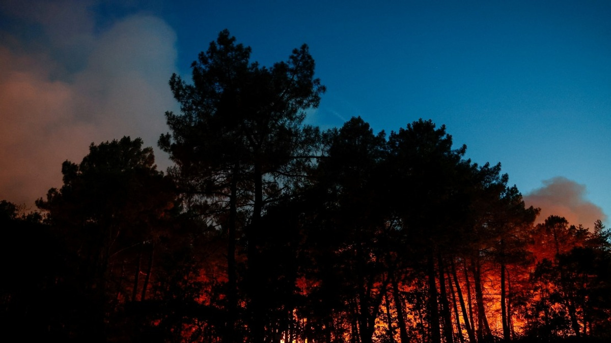 Major Wildfire Sweeps Through Fontainebleau Forest Near Paris; Arson Suspected
