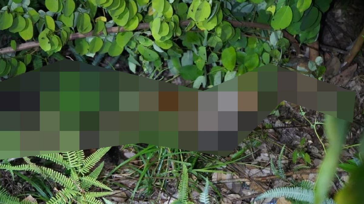 10-year-old girl found dead in Sabah; two men arrested over murder