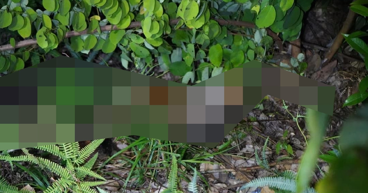 10-year-old girl found dead in Sabah; two men arrested over murder