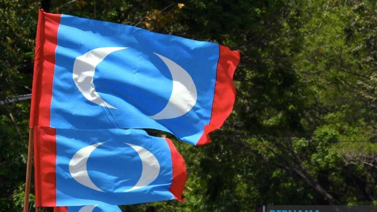 PKR Must Look Inward, Not Blame Voters for Electoral Setbacks, Says Youth Wing Chief
