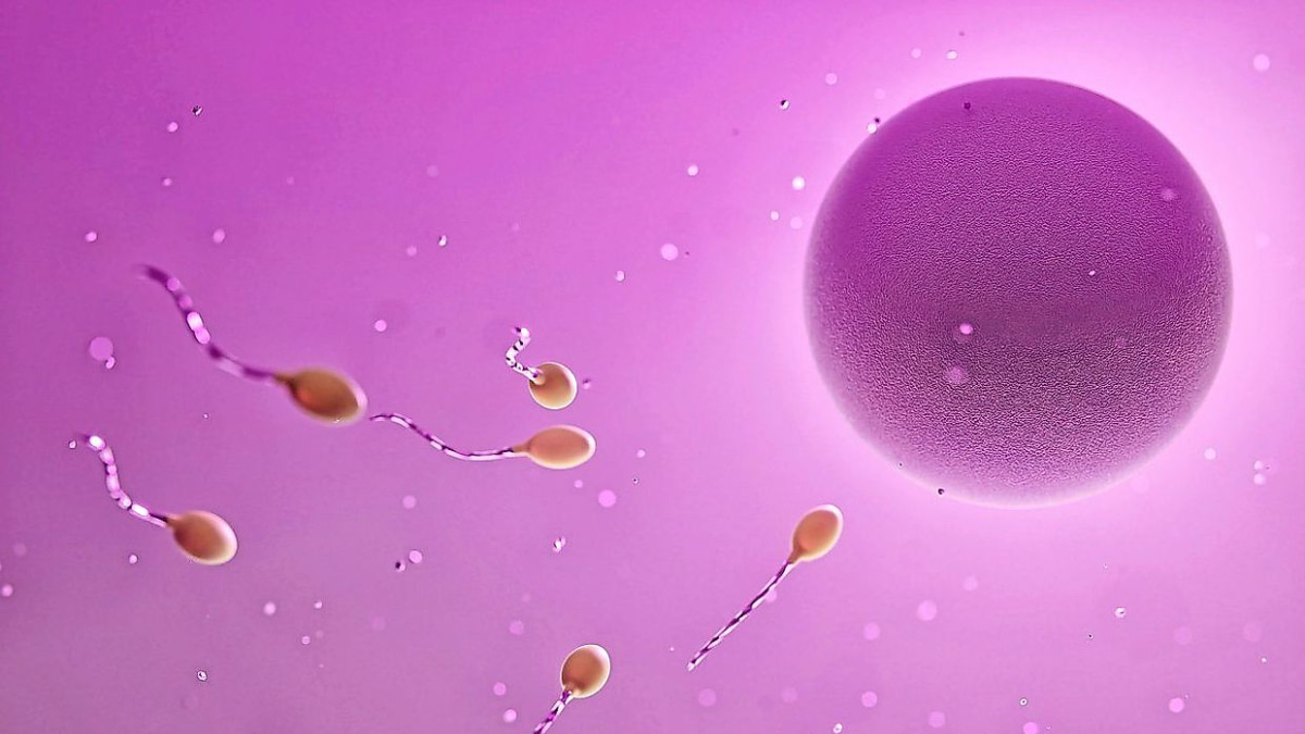 Understanding Ovulatory Disorders and Fertility Treatments in Southeast Asia