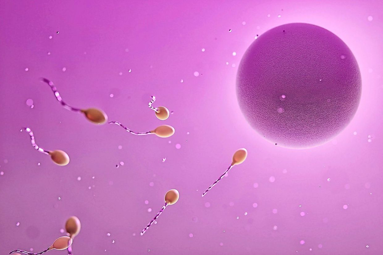 Understanding Ovulatory Disorders and Fertility Treatments in Southeast Asia