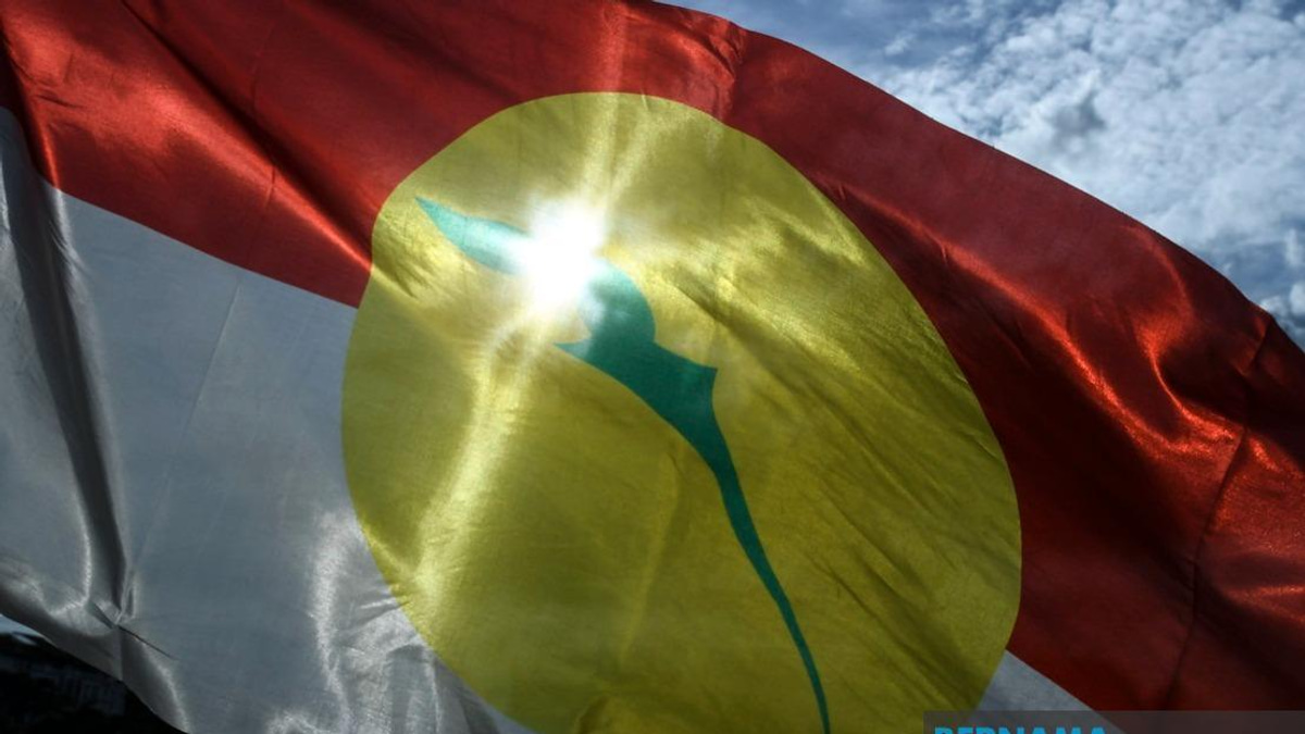 UMNO Members Must Put Party Before Personal Interests in Johor Election, Says Azalina