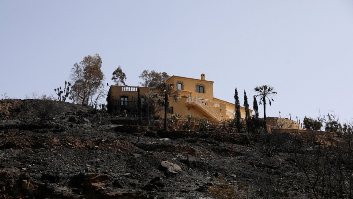Death Toll From Southern Spain Wildfire Climbs to 13 as Blaze Brought Under Control