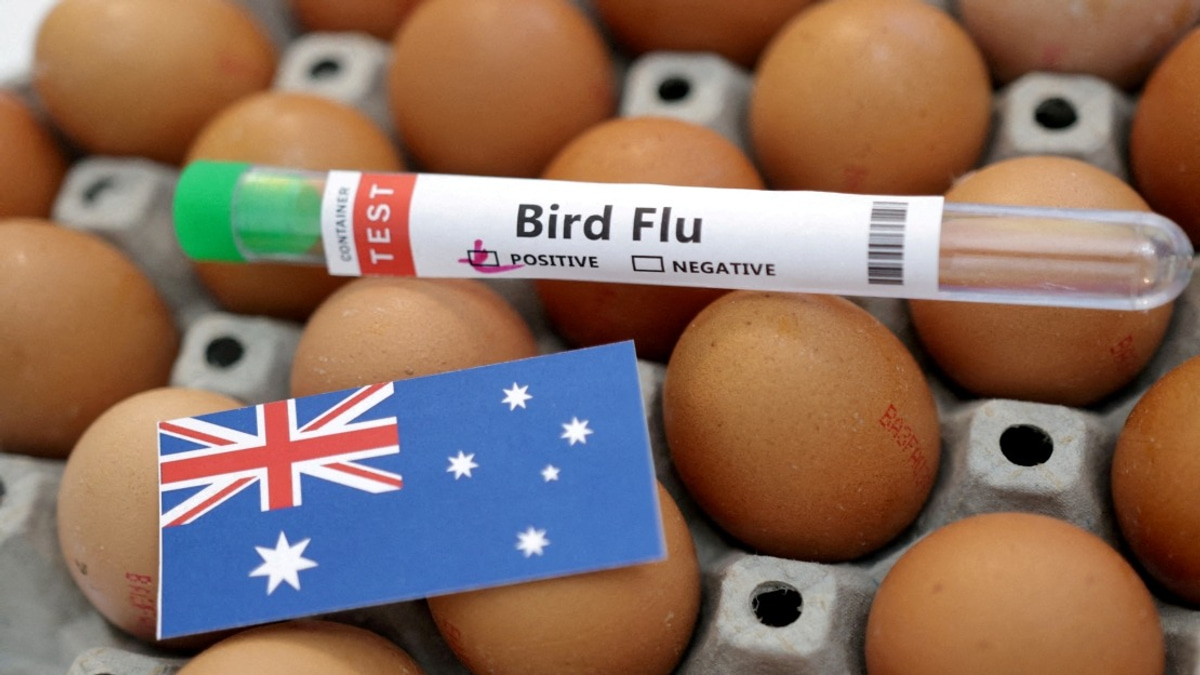 Australia Confirms First H5N1 Bird Flu Case in Mainland Wildlife
