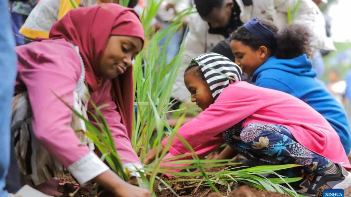 Ethiopia Plants 800 Million Trees in Record Single-Day Drive