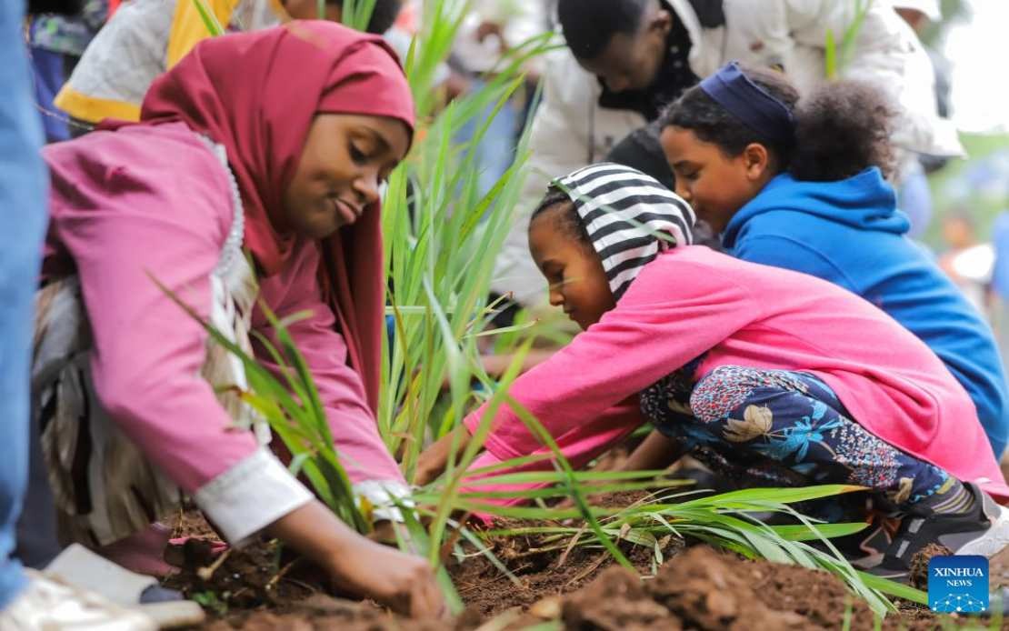 Ethiopia Plants 800 Million Trees in Record Single-Day Drive