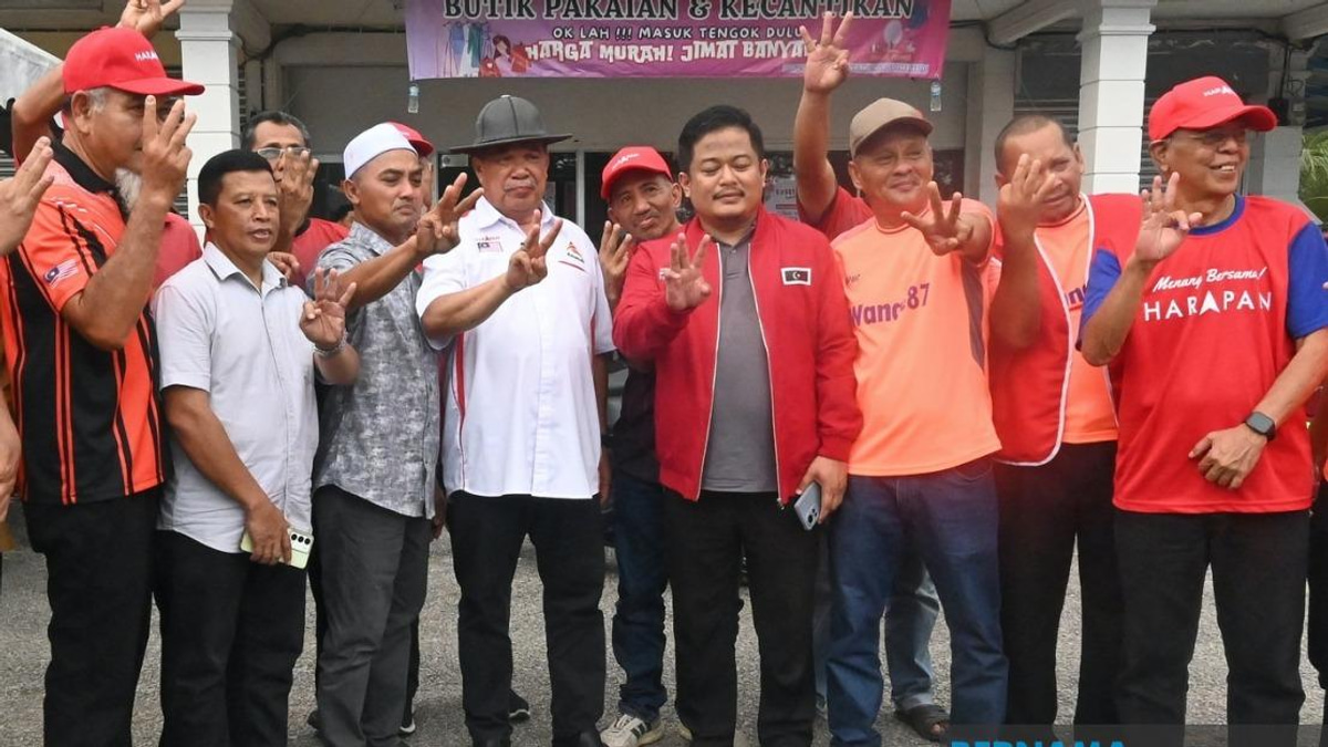 Johor Voters Must Back PH to Deliver on Promises, Says Mohamad Sabu