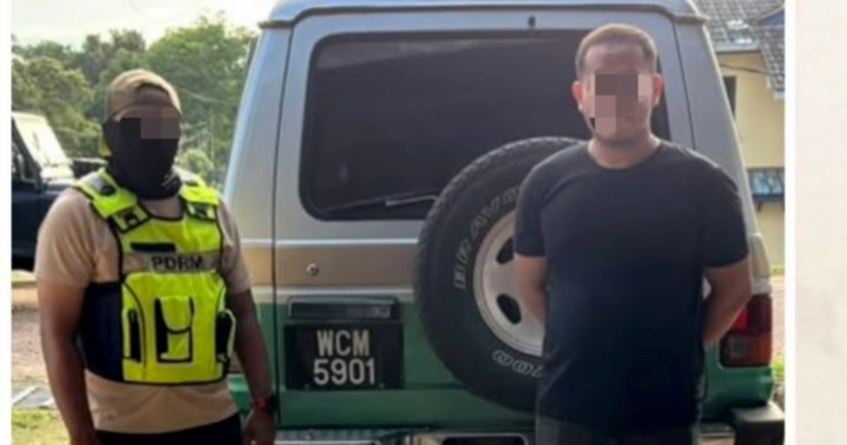 Man arrested with contraband bromeliads worth over RM6,000 hidden in SUV