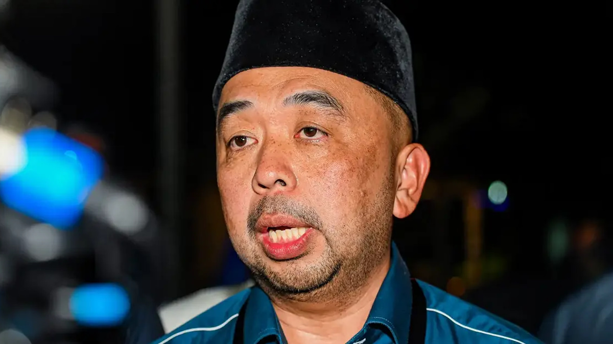 Perikatan Nasional's Gemas Hopeful Courts BN Voters With Unity Message