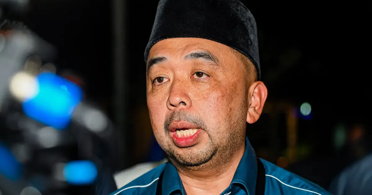 Perikatan Nasional's Gemas Hopeful Courts BN Voters With Unity Message