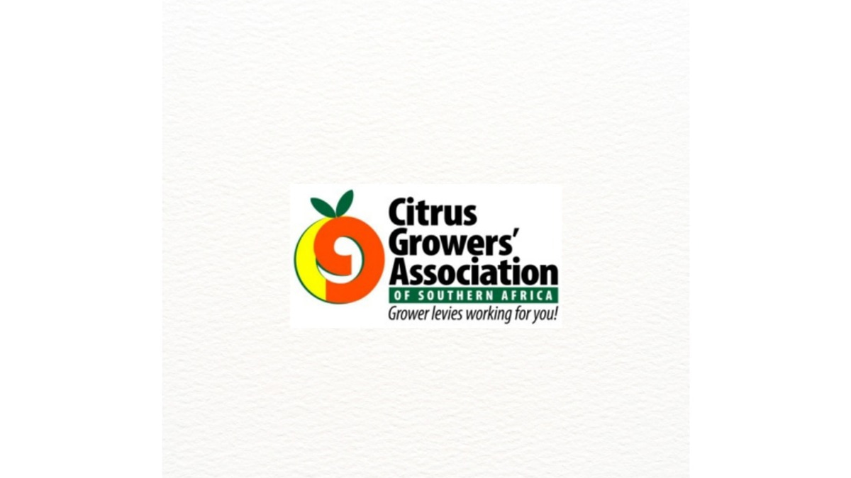 South Africa and India Unlock Citrus Trade After Long Negotiations