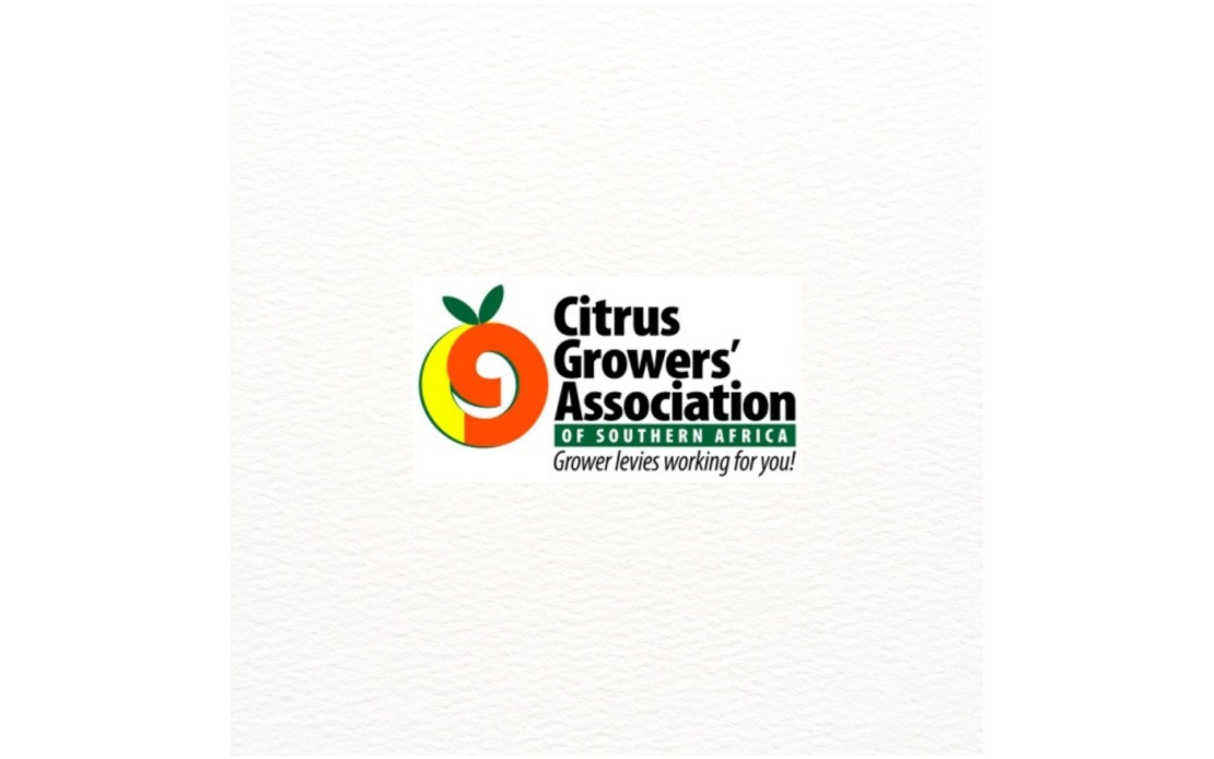 South Africa and India Unlock Citrus Trade After Long Negotiations