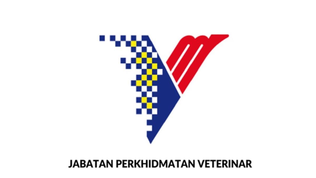 DVS Denies Link to Forged Government Orders and Fraudulent Supply Scheme