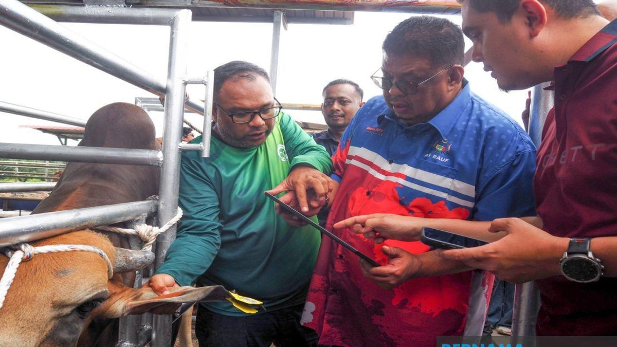 Melaka Deploys QR Code System to Track Livestock and Curb Stray Animal Incidents