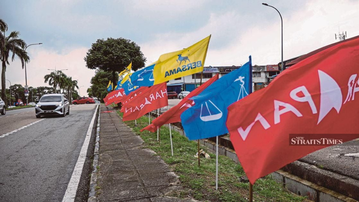 Johor Police Launch 18 Investigations into Election Misconduct Allegations